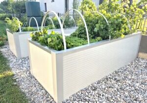 545123662_122098506213013433_8102902647718580210_n